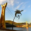 미락장어 이미지