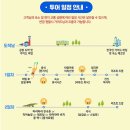 코타 키나발루 가이드맨 이미지