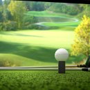 원골프 이미지