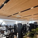 싸피엔스 짐 이미지