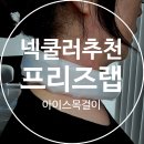 프리즈 | 넥쿨러추천 프리즈랩 넥쿨러 아이스목걸이 무더위 사용후기
