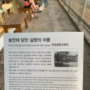 디엠지인테리어