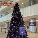 바른팜 | 컬리푸드페스타 2025 평일 오후 타임 오픈런 후기