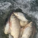 항포낚시터 이미지