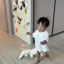 펀노리터진주 | 진주 펀노리터 15개월 아기와 함께 펀 세차장 놀이 후기