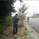 석불주유소 이미지