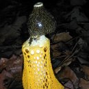 무지랭이 약수터 이미지