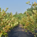 건희농장 이미지