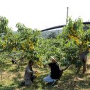 박종진 농장 이미지