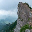카마스터 앞 교통섬 이미지
