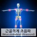 근골격계 초음파 검사[musculoskeletal ultrasonography] 이미지