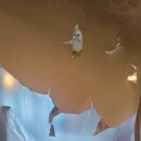 현대프레미오 이미지