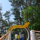 장성호 출렁다리(넘실정) | 장성 여행지 갈만한곳 | 필암서원 장성호 관광지 수변길 출렁다리 | 전남 가볼만한곳