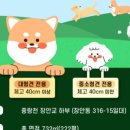 놀이터칼국수