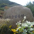 화왕산에서-지난 2009년10월 18일에 갔던 산인데 늦게 나마 슬그니 올려 봅니다.^^ 이미지