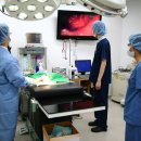 서울동물메디컬센터 이미지