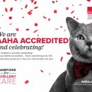 고려동물메디컬센터 이미지