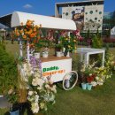 금산삼원가든 이미지