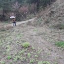 덕산면043 이미지