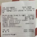 땅콩동물병원 | [서울/마곡] 땅콩동물병원 소형견 중성화수술 후기