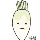 펫플스