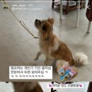 누을(Nueul) 이미지