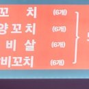 메가양꼬치