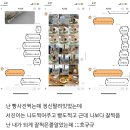 [12/1~12/16] 마음의 소리를 따라