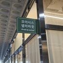 기업도시로1 | 원주 기업도시 케이크 맛집, 모아시스 솔직 후기