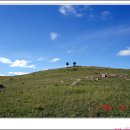 초원의 언덕 이미지