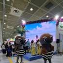 “제40회 서울국제관광전 후기✨ 해외여행 정보부터 체험 이벤트까지 총정리!”