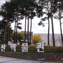 두왕로L | 울산박물관, 과거와 현재가 공존하는 울산의 역사와 문화를 아우르는 종합 도시역사 박물관