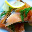 도그마미 이미지