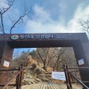 가을탐방(가족) | 설악산 흘림골 탐방 후기｜예약 필수! 흘림골~등선대~주전골 코스 솔직 후기