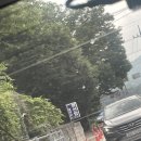 [2024 공주여행 6.15~6.16] 수국보러 공주여행 (+더조이하우스 후기)