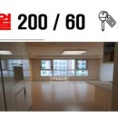 분당고양이분양 나비캣 이미지