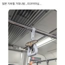 일본 지하철 거대나방…피규어아님… 이미지