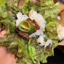 웃는고기 이미지