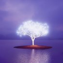 빛으로 그린 세상 이미지