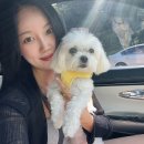 GS25 방어스페셜점 | 일년 중 가장 행복한 내 생일달, 25년 여름의 기록🌱