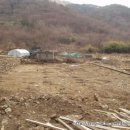 다온농장 이미지