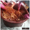 상운농장 이미지