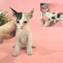 흥해시장 공중화장실 이미지