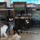 렌즈미(노원점) 네이버블로그