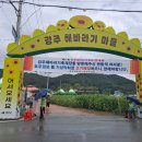 20230717 함안군법수면 강주4길37 해바리기축제 이미지