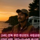 오렌지카정비센터 | 🚐 캠핑카 여행 어디가 찐일까? 국내 TOP10 여행지 총정리! 🏞️