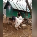 소보소농장 이미지