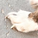 헤이라딘 이미지