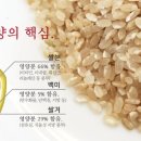 햇살떡집 이미지