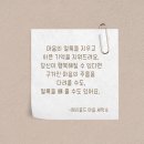 신비세탁소 이미지